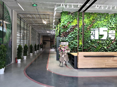 �����ϸ硤(�й�)���ֲ��ٷ���վ